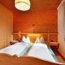 SkiWelt Wilder Kaiser-Brixental  - Appartement Hinterholzer