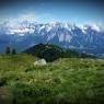 Schladming-Dachstein - Asingerhof