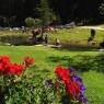 Schladming-Dachstein - Höflechner, Potzalm
