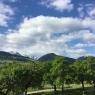 Schladming-Dachstein - Appartement Gaby