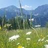 Schladming-Dachstein - Appartement Gaby