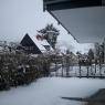 Schladming-Dachstein - Appartement Stass