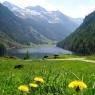 Schladming-Dachstein - Hotel-Pension Berghof