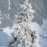 Schladming-Dachstein - Hotel-Pension Berghof