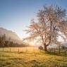 Schladming-Dachstein - Dorfhotel St. Martin