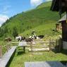 Schladming-Dachstein - Haus Lerchegger
