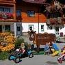 Schladming-Dachstein - Linharterhof - Urlaub am Bauernhof