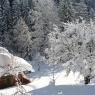 SkiWelt Wilder Kaiser-Brixental  - Ferienwohnungen Saghäusl - Michaela Gruber
