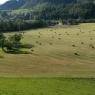 Schladming-Dachstein - Weitgasserhof
