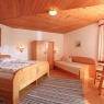 SkiWelt Wilder Kaiser-Brixental  - Haus am Erlenrain, Ferienwohnung
