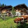 Flachau - Almdorf Flachau