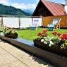 Schladming-Dachstein - Appartement Luidold