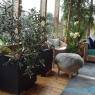 Schladming-Dachstein - Appartement Reiter