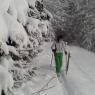 SkiWelt Wilder Kaiser-Brixental  - Landhaus Horngacher