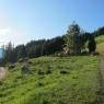 SkiWelt Wilder Kaiser-Brixental  - Ferienhütte Hörbiger