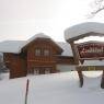 Schladming-Dachstein - Bioappartement Landhäusl