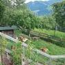 Flachau - Deml, Ferienwohnungen