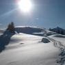 Schladming-Dachstein - Pension Steiermark