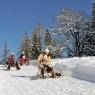 Flachau - Sonnberg-Ferienanlage