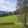 SkiWelt Wilder Kaiser-Brixental  - Bauernhof Hinterfirst