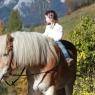 Schladming-Dachstein - Schirfhof