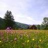 Schladming-Dachstein - Ferienhaus Zettler
