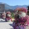 Schladming-Dachstein - Haus Guschelbauer