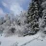 Schladming-Dachstein - Appartement Stiegler