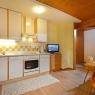 SkiWelt Wilder Kaiser-Brixental  - Appartement Hinterholzer