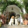 Schladming-Dachstein - Hotel Schloss Thannegg-Moosheim