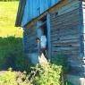 Schladming-Dachstein - Thonnerhof - Familie Schmalengruber