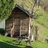 SkiWelt Wilder Kaiser-Brixental  - Siedlerhof -  Erharter Christine