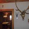 SkiWelt Wilder Kaiser-Brixental  - Ferienhaus Going