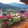 Flachau - Traninger, Christine und Herbert