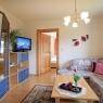 SkiWelt Wilder Kaiser-Brixental  - Appartement Kaufmann Martha
