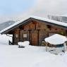 SkiWelt Wilder Kaiser-Brixental  - Sabine Payr - Ferienwohnung Wilder Kaiserblick
