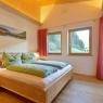 SkiWelt Wilder Kaiser-Brixental  - Appartement Erlenau