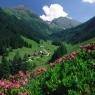 Schladming-Dachstein - Grundner, Appartement