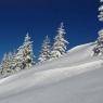 SkiWelt Wilder Kaiser-Brixental  - Salvenmoser Johanna, Ferienwohnung