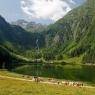 Schladming-Dachstein - 