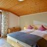 SkiWelt Wilder Kaiser-Brixental  - Appartement Erber