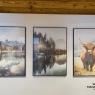 Courchevel - Residencia Ariondaz Heliantheme - 66 m² - 3P6
