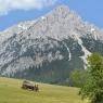 SkiWelt Wilder Kaiser-Brixental  - Bauernhof Sonnhof