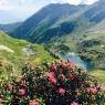 Schladming-Dachstein - Haus Herbert Moser