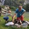 Schladming-Dachstein - Saumerhof