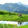 Schladming-Dachstein - Haus Rudorfer