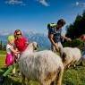 Schladming-Dachstein - Waldhäuslhütte