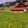 Adelboden - Lärchehuus