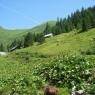Schladming-Dachstein - Haus Lerchegger