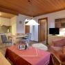 SkiWelt Wilder Kaiser-Brixental  - Appartement Erber